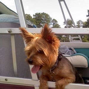 Meet your Posher, Mary ellen